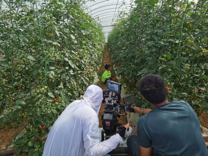 平利县产品宣传视频拍摄公司进阶指南，助力品牌抢占传播高地